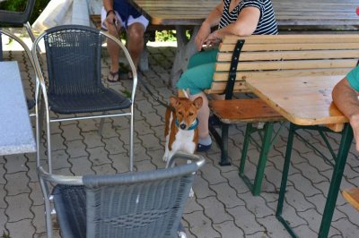 1675-dsc_2744