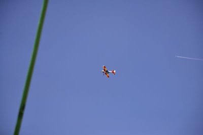 1682-dsc_2754