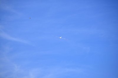 1701-dsc_2788