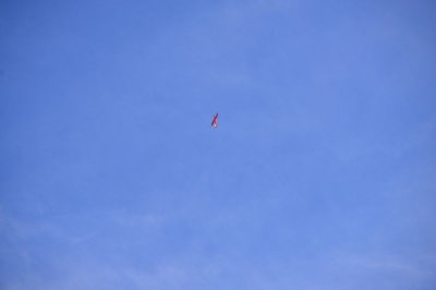 1743-dsc_2842