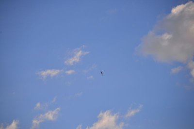 1756-dsc_2867