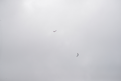 2216-dsc_4146