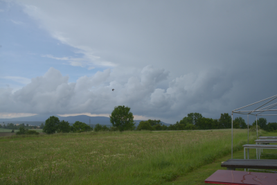 2243-dsc_4194