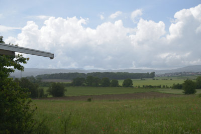2244-dsc_4195