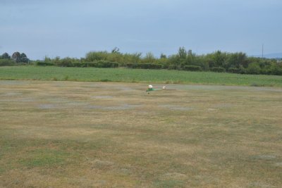2306-dsc_4335