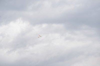 2309-dsc_4339