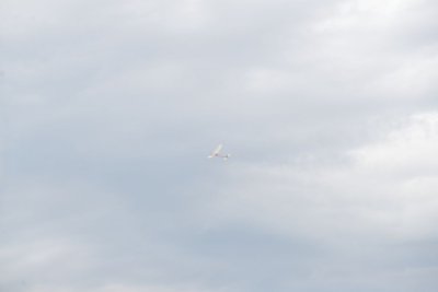 2318-dsc_4350