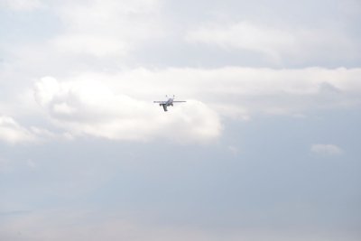2431-dsc_4517