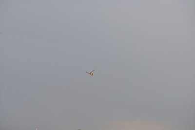 2464-dsc_4564