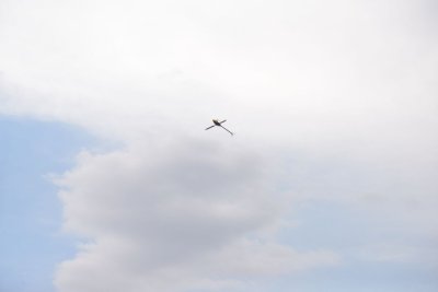 2468-dsc_4572
