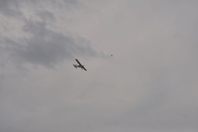 2483-dsc_4597