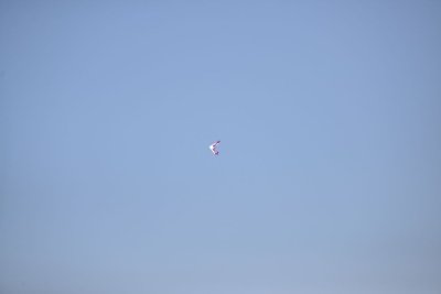 2513-dsc_4633