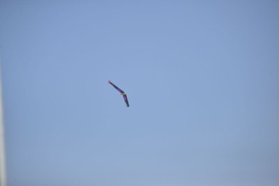 2514-dsc_4634