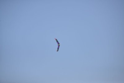 2515-dsc_4635
