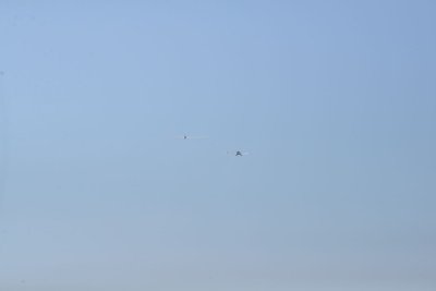 2543-dsc_4669