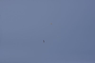 2553-dsc_4683