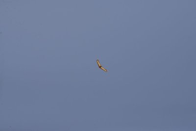 2558-dsc_4696