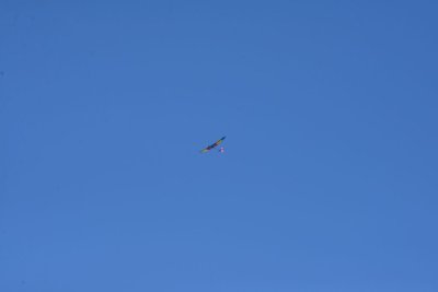2583-dsc_4737