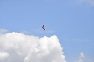 2637-dsc_5003