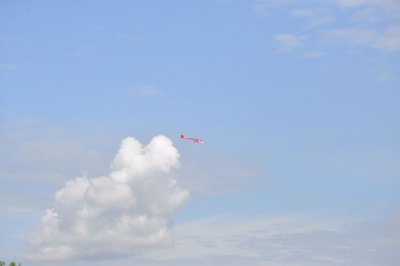 2638-dsc_5006
