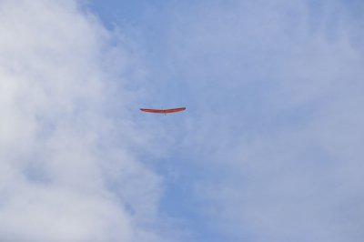 2645-dsc_5016