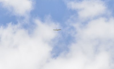 2674-dsc_5071