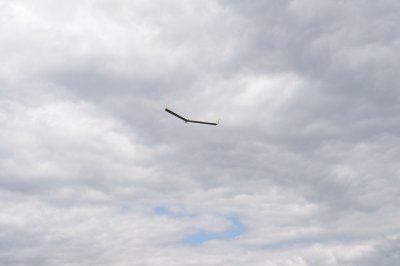 2690-dsc_5102