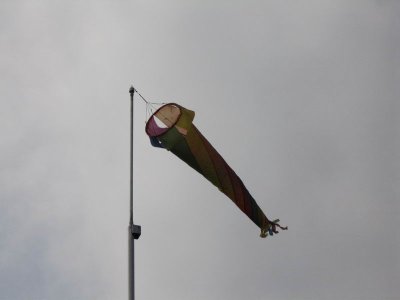398-min-img_1129