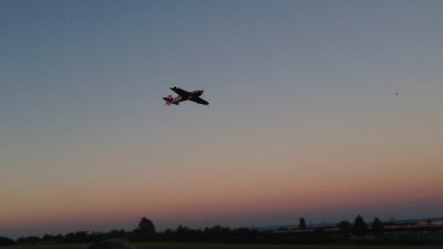 59-img_4959