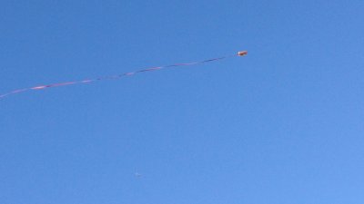 84-img_4924