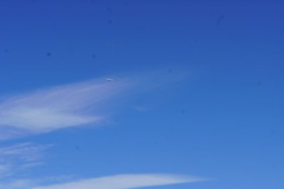 Zufallsbild aus der Galerie