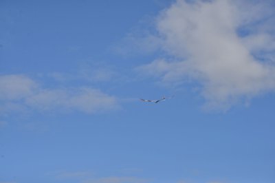 DSC_5568