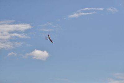 DSC_5592