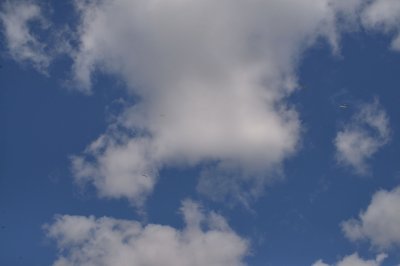 DSC_5818