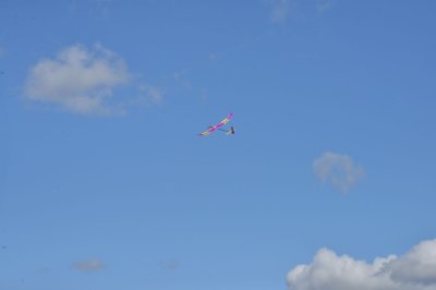DSC_5873