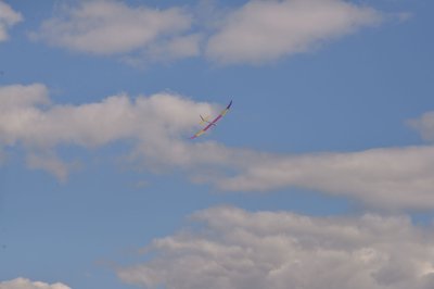 DSC_6105