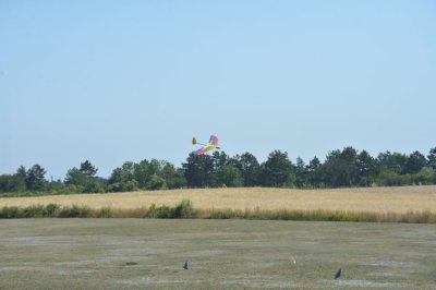 DSC_6587