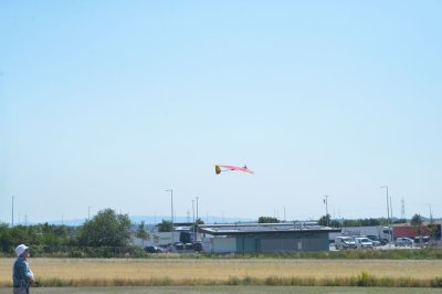 DSC_6623