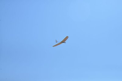 DSC_6652