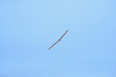 DSC_6653