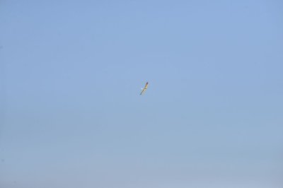 DSC_6705