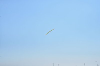 DSC_6724