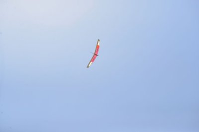 DSC_6799