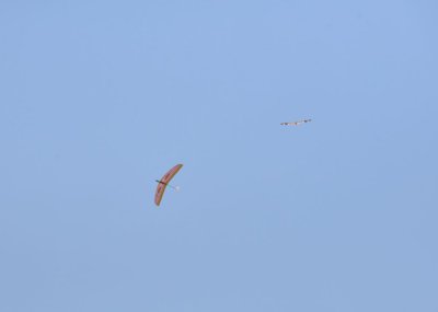 DSC_6820
