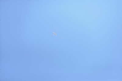 DSC_7040