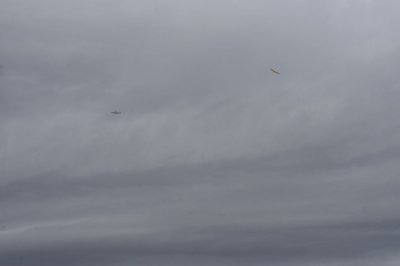 DSC_7155