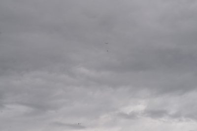 DSC_7176