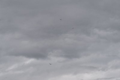 DSC_7180