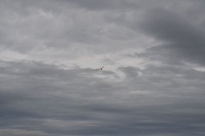 DSC_7185