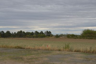 DSC_7187